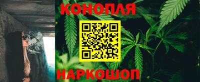 дживик Кингисепп